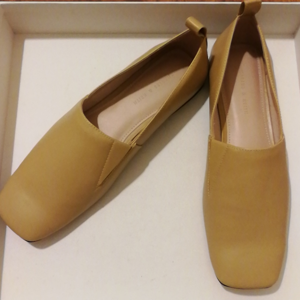 Charles&Keith flats